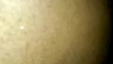 Riproduci Digestione non professionale