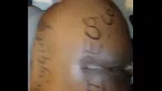 تشغيل إثبات mon