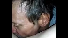 চালান মসৃণ কামানো কিটি-বিড়ালকে হারান