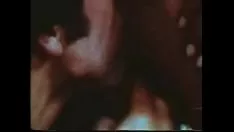Oynat Kiraz ağacı başarısız nadir hc