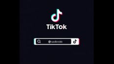 Riproduci Missy's missy's missy - tiktok e presentababys digest