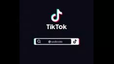 Riproduci Missy's missy's missy - tiktok e presentababys digest