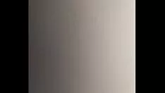 تشغيل التحقق هو شأني