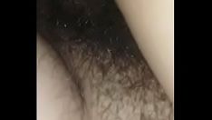 চালান কিটি-বিড়াল - 1 নক্স পাড়া 0878099888