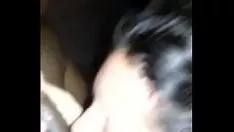 Reproduzir Minha nobre incomum