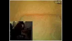 Putar Beau kalah dari burung hantu