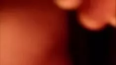 Riproduci Guardando il suo gattino bagnato e suppurato in webcam