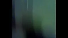 चलाएँ रोरोडॉलर साइन्स एंड ट्रेड इन;