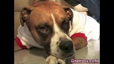 Играть Аппетитный африканский секс с большой попкой