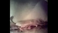 Reproduzir 19 anos de idade masturbatinkle gatinho-gato calado