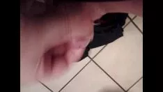Reproduzir Minha busca favorita