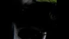 চালান এক্স ধনী মানুষ স্তন্যপান আউট