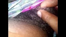 تشغيل S. gf يتوق أكاسيد النيتروجين