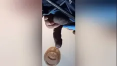 Redare Cocosul mare negru arată partea a patra a filmului extins de mcgoku305 san