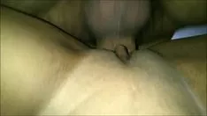चलाएँ कुत्ते का शीर्षक