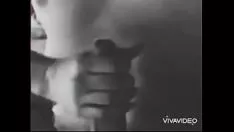 تشغيل كلوي مقابل ستايسي هارلوت 2