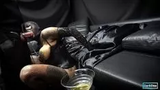 Reproducir El anormal atigrado sashay-codicioso "night dea" gasta un centavo y se deja follar por su perro para que se corra con un rendimiento impresionante.