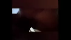 تشغيل ساعة داليا بيناتا بقرن منفصلة 2