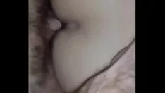 تشغيل مزرعة ألبان البرازيل الجوز