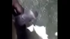 Oynat Png ples grup çalı sikme